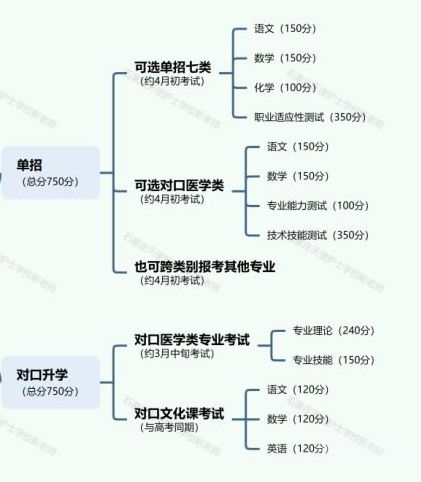 河北省医学中专升学医学大专（单招和对口高考）升学方式区别？