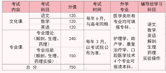 石家庄天使护士学校2026单招医学类复读班招生简章