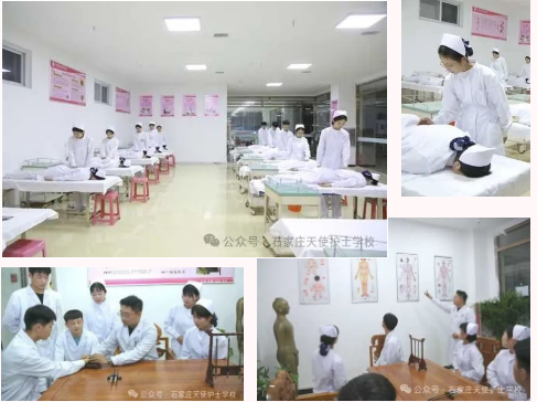 石家庄天使护士学校2026年春季招生什么专业?招生人数多少?