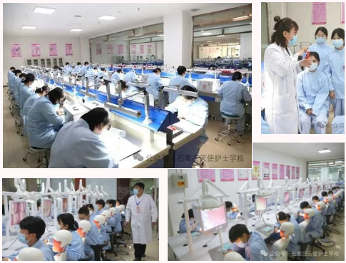 石家庄天使护士学校2026年春季招生什么专业?招生人数多少?