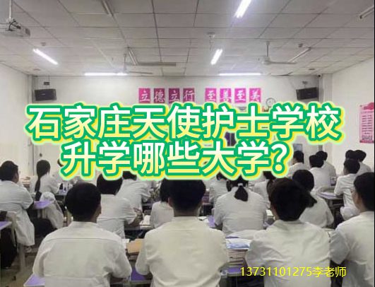 石家庄天使护士学校3+3普通大专可以报考哪些院校?